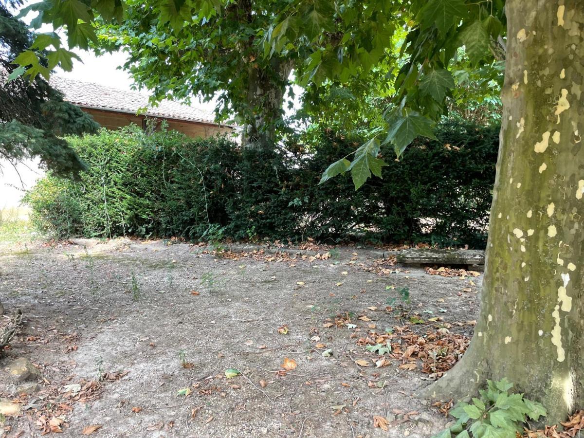 Le Clos Des Cadots - Chambre Chaintré Exteriér fotografie